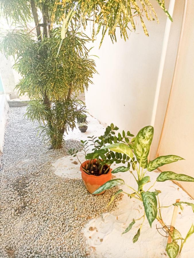 Corais Itapua Pousada Hostel E Studio 萨尔瓦多 外观 照片